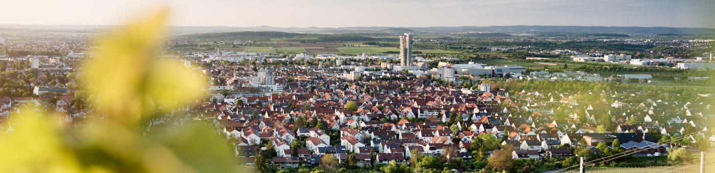 Stadtpanorama